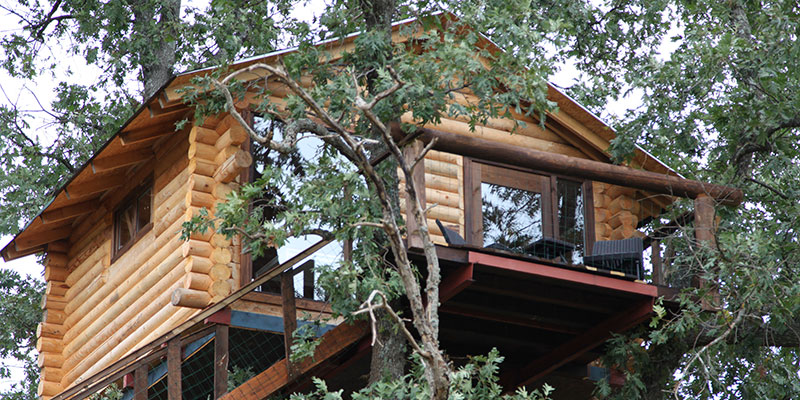 Details 48 casa en los árboles extremadura