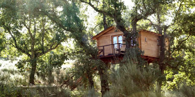 Inclinarse sentido pecho Dormir en los árboles | Cabañas en los árboles de Extremadura